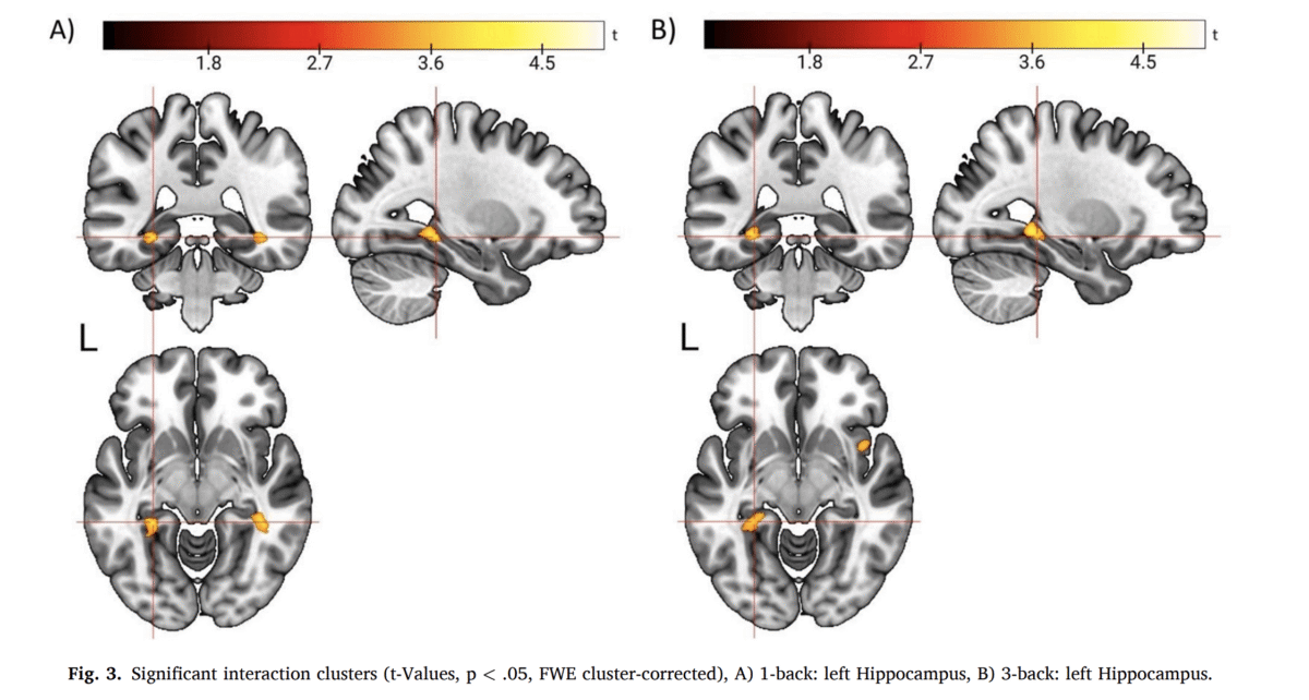 Como o movimento impacta o cérebro?