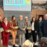 Saúde mental médica e telepsiquiatria: painel do Simers reúne UFRGS, PUCRS e IMCELER